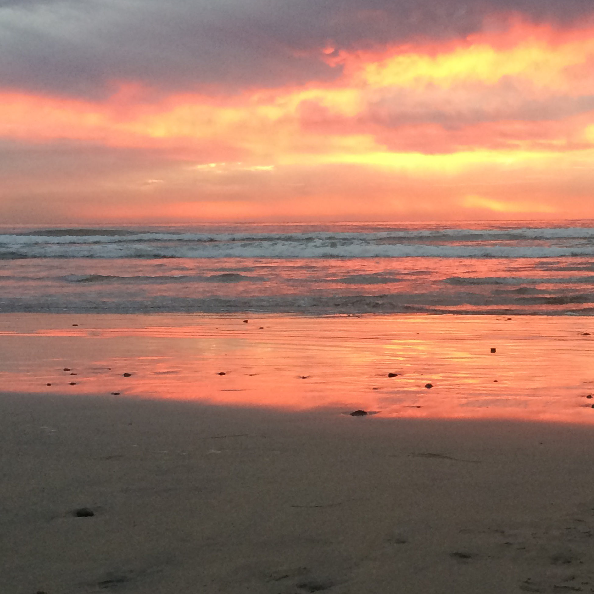 Baja, the beach & San Diego sunsets are why we are San Diegans for life